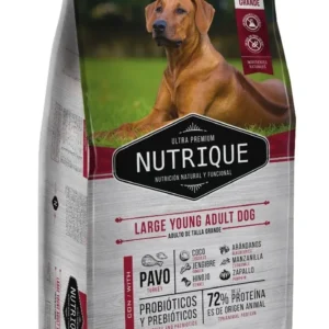 NUTRIQUE ADULTO LARGE x15KG