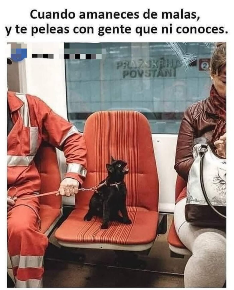 Screenshot_20241211-224125