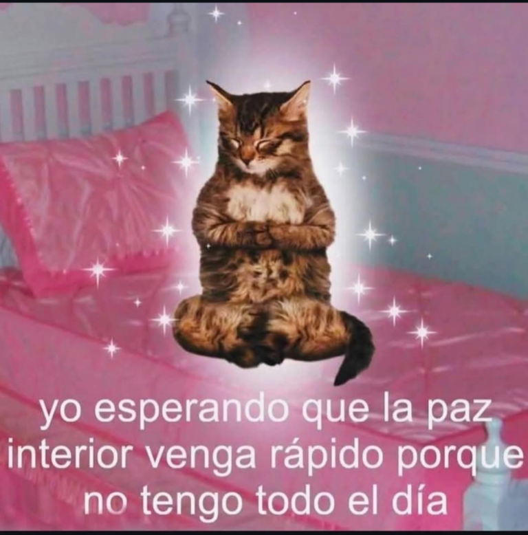 Screenshot_20241211-224530