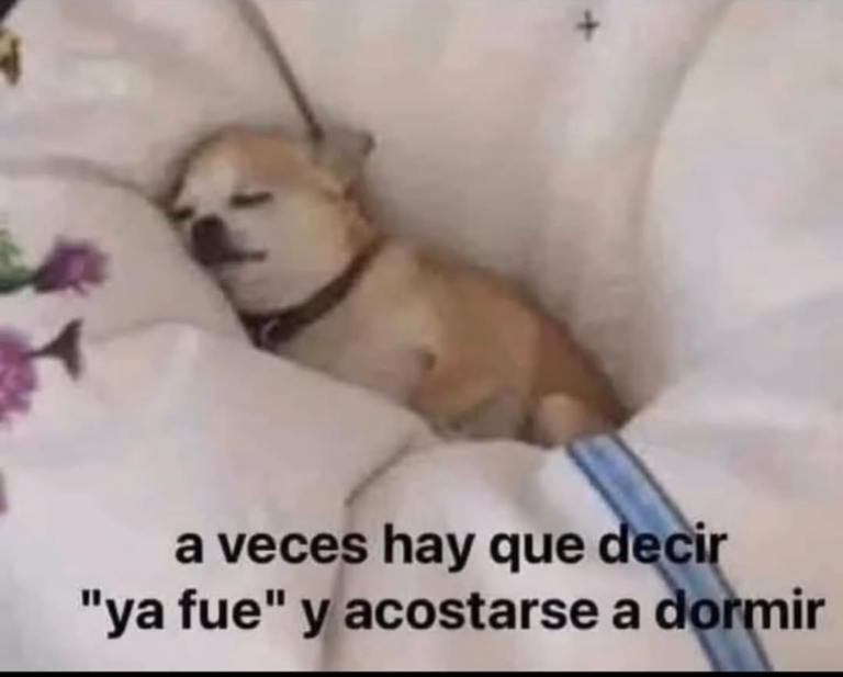 Screenshot_20241211-224802~2