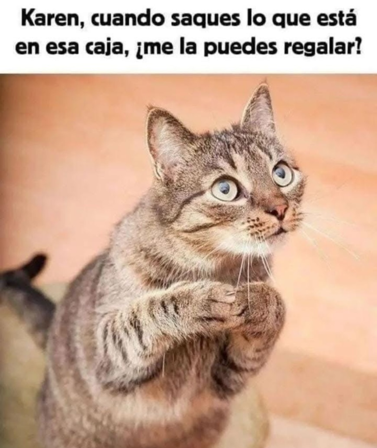 Screenshot_20241211-225201~2