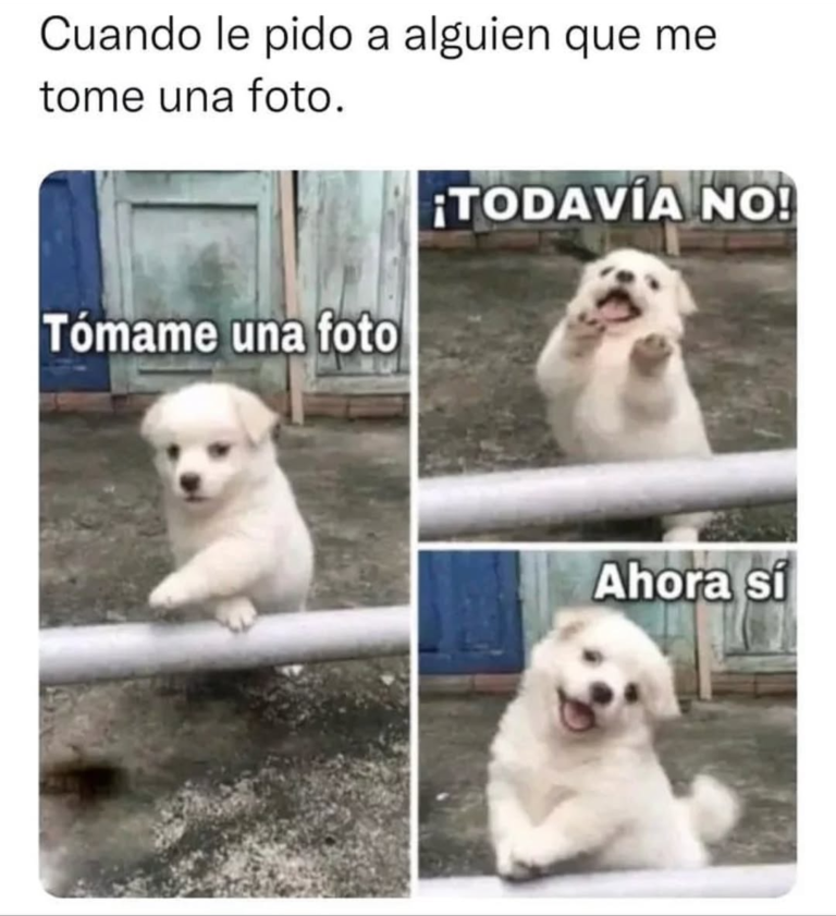 Screenshot_20241211-225234~2