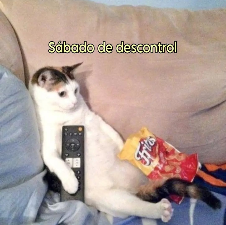 Screenshot_20241211-225558~2