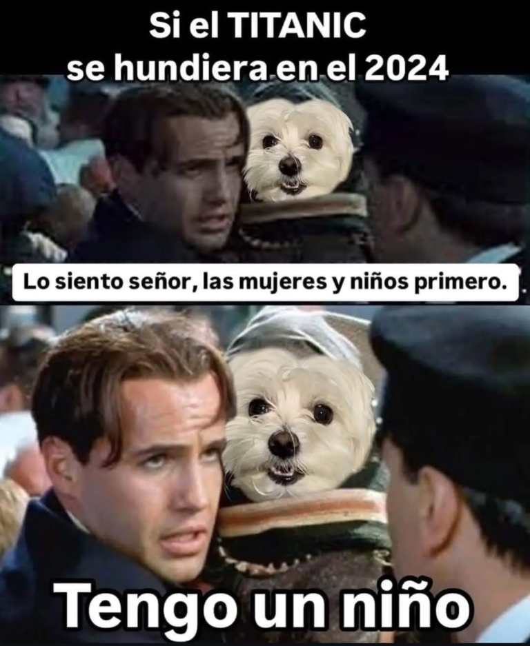 Screenshot_20241211-230215~2