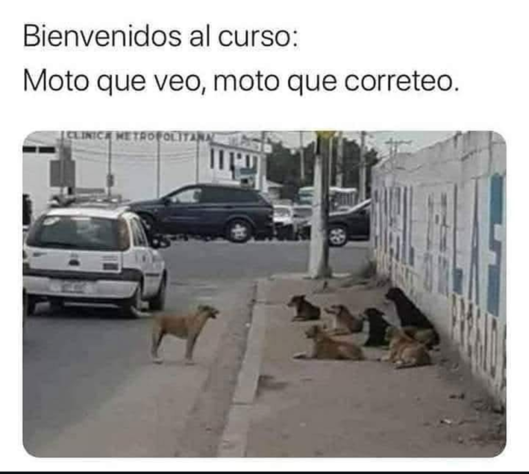 Screenshot_20241211-230438~2