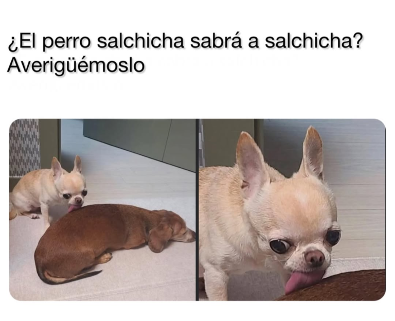 Screenshot_20250118-231459