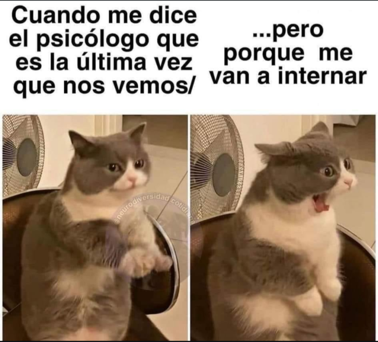 Screenshot_20250118-232313