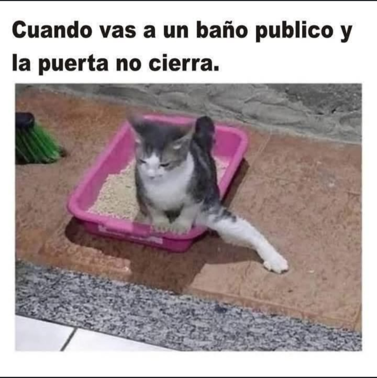 Screenshot_20250118-234143