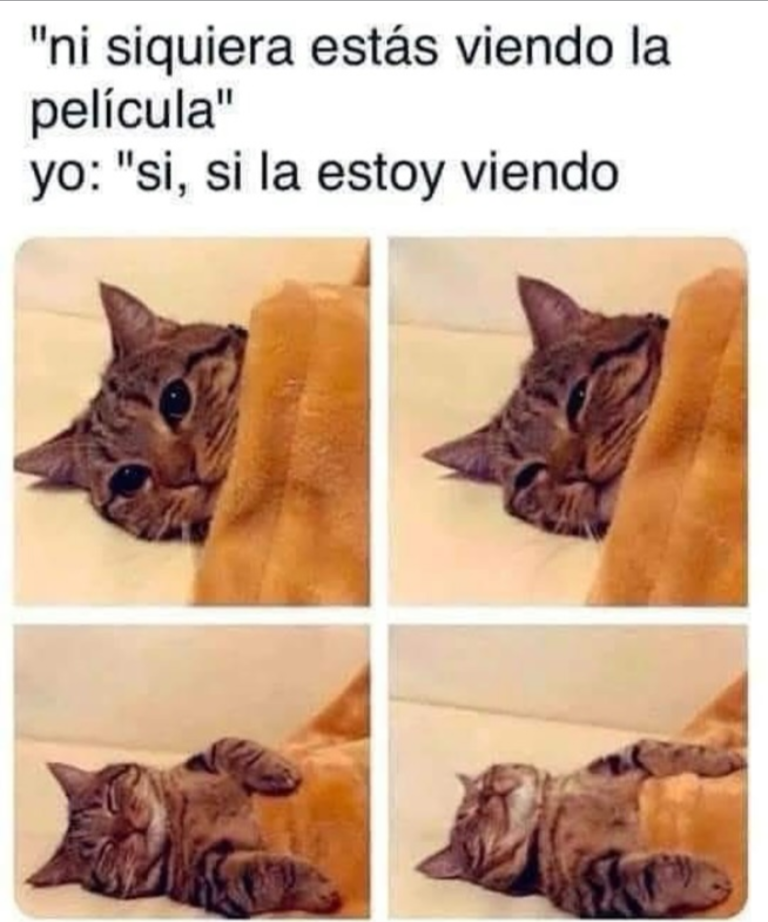 Screenshot_20250119-110900