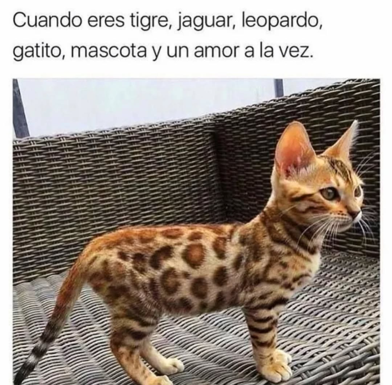 Screenshot_20250120-180802~2