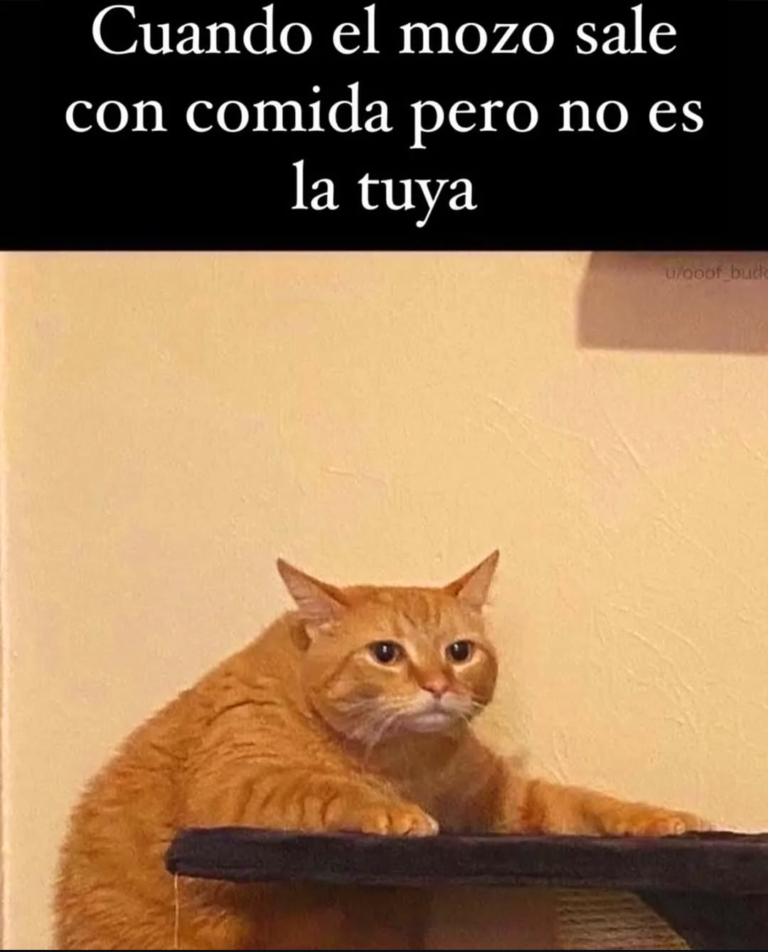 Screenshot_20250120-180823~2