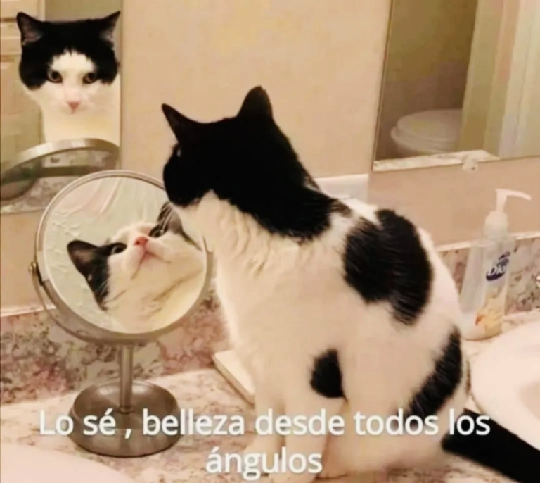 Screenshot_20250120-180959~2