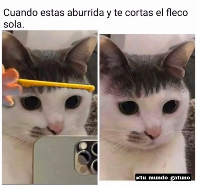 Screenshot_20250120-181022~2