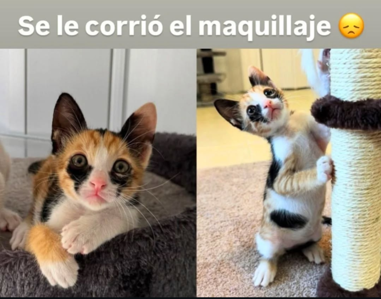 Screenshot_20250120-181101~2