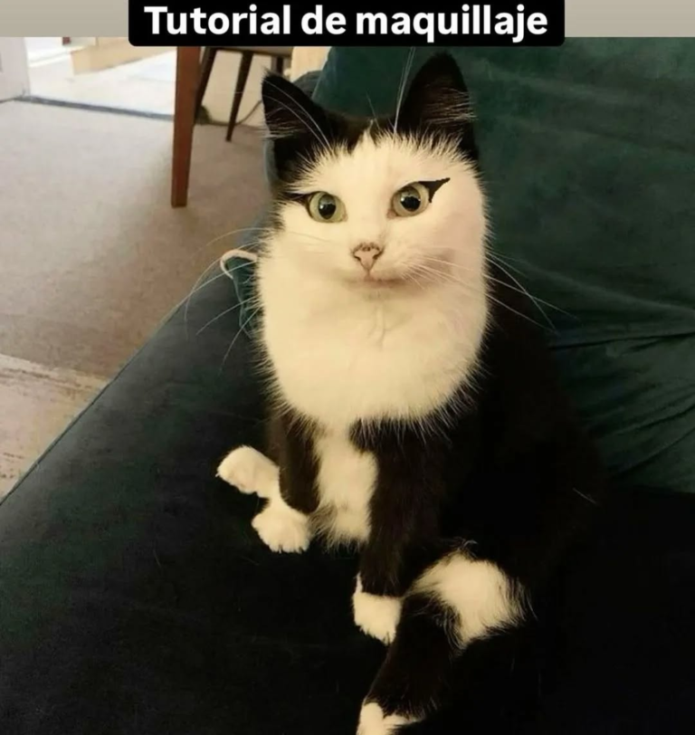 Screenshot_20250120-181135~2