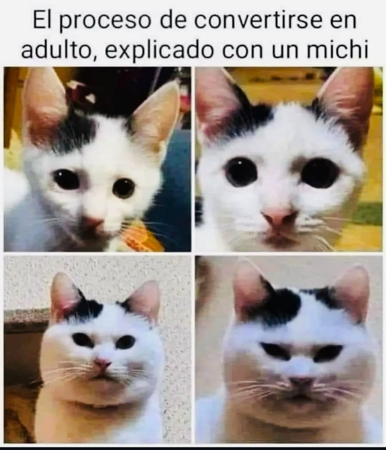 Screenshot_20250120-181148~2