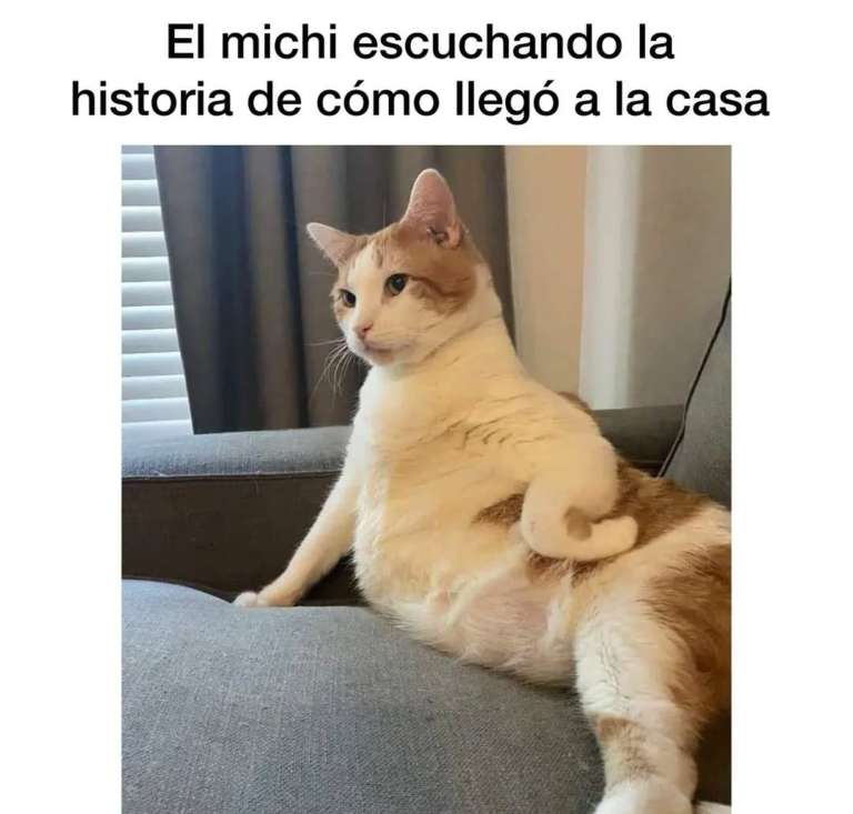 Screenshot_20250120-181202~2