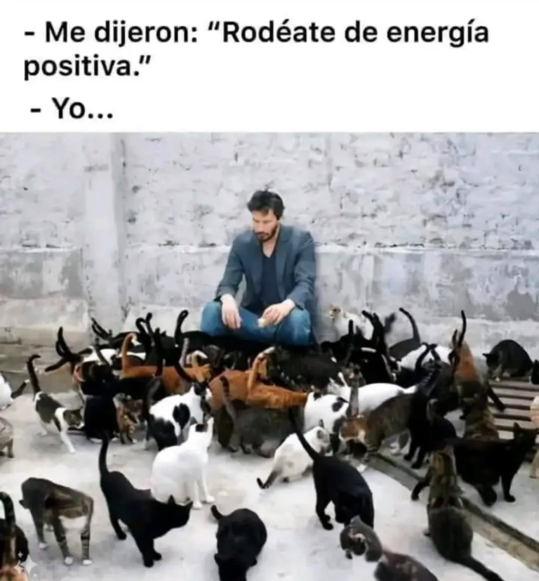 Screenshot_20250120-181223~2