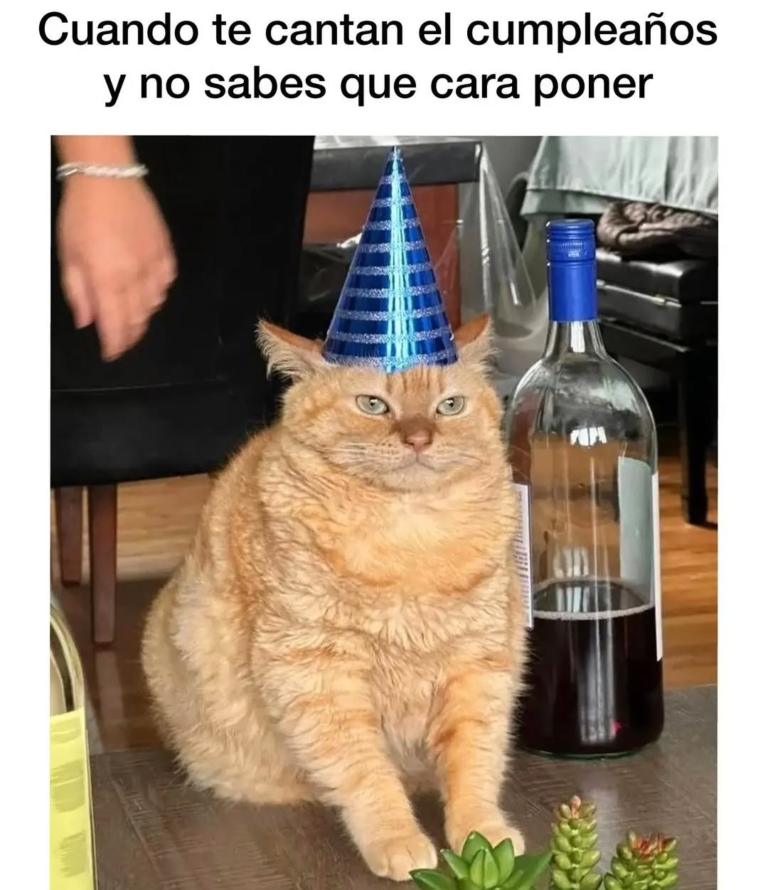 Screenshot_20250120-181235~2