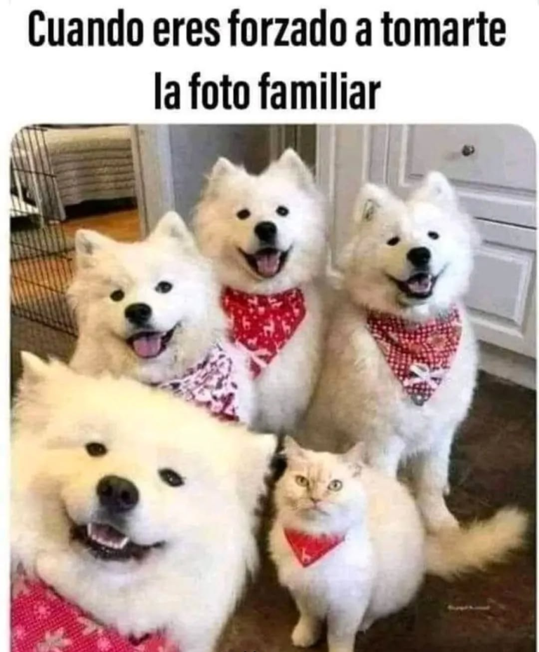 Screenshot_20250120-181308~2