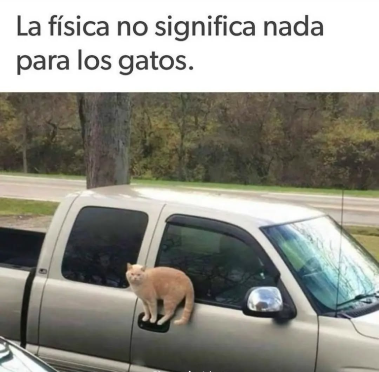 Screenshot_20250120-181323~2