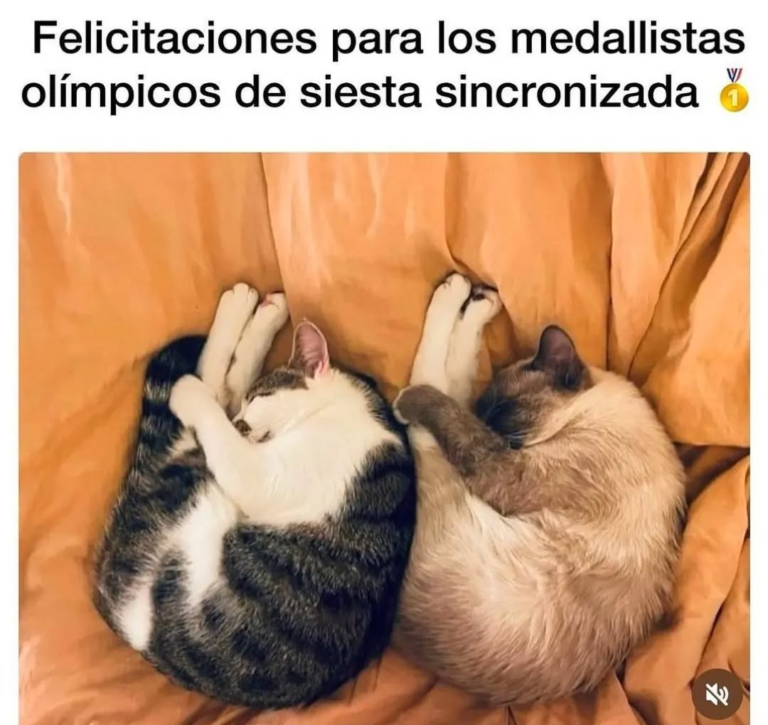 Screenshot_20250120-181423~2