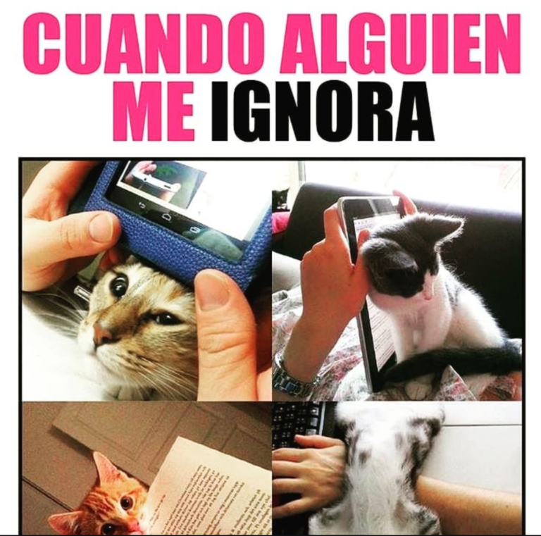 Screenshot_20250120-182056~2