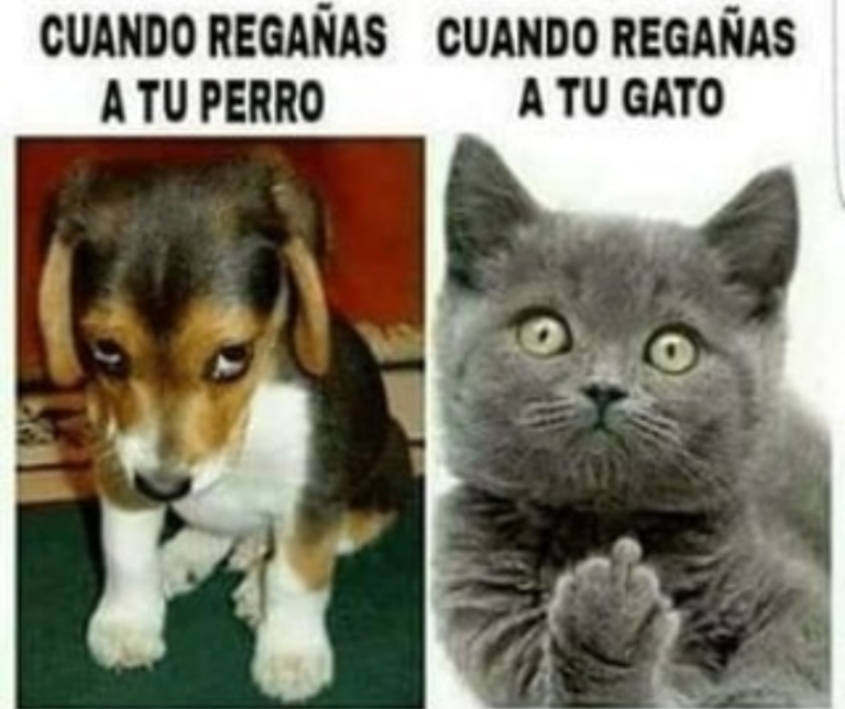 Screenshot_20250120-182104~2