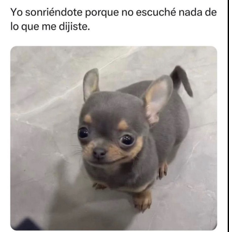 Screenshot_20250120-182135~2