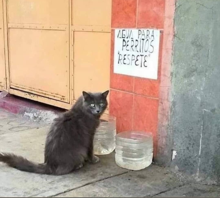 Screenshot_20250120-182545~2