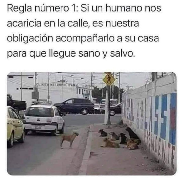 Screenshot_20250120-182752~2