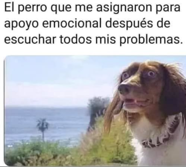 Screenshot_20250120-182759~2