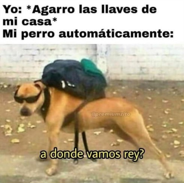 Screenshot_20250120-182830~2