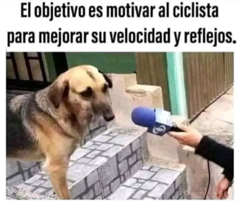 Screenshot_20250120-182929~2