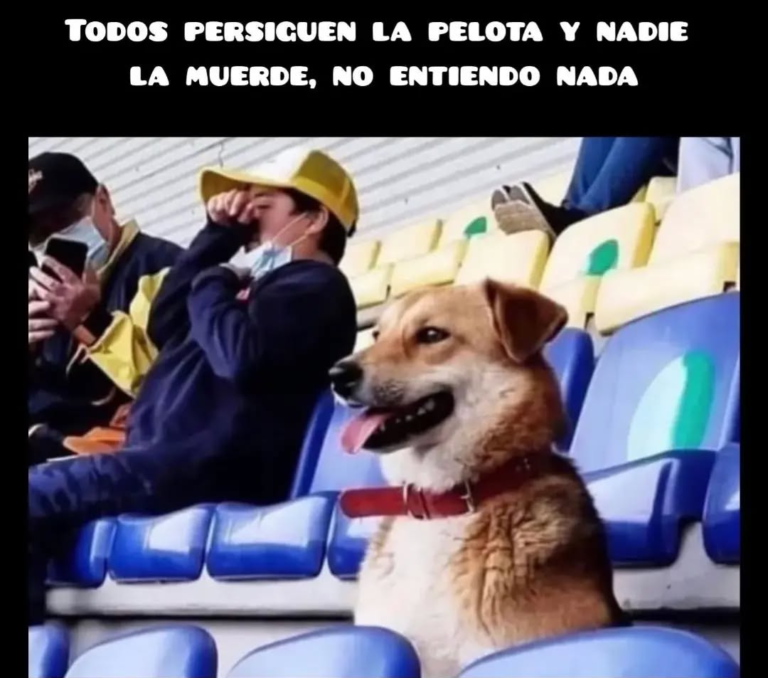 Screenshot_20250120-183043~2