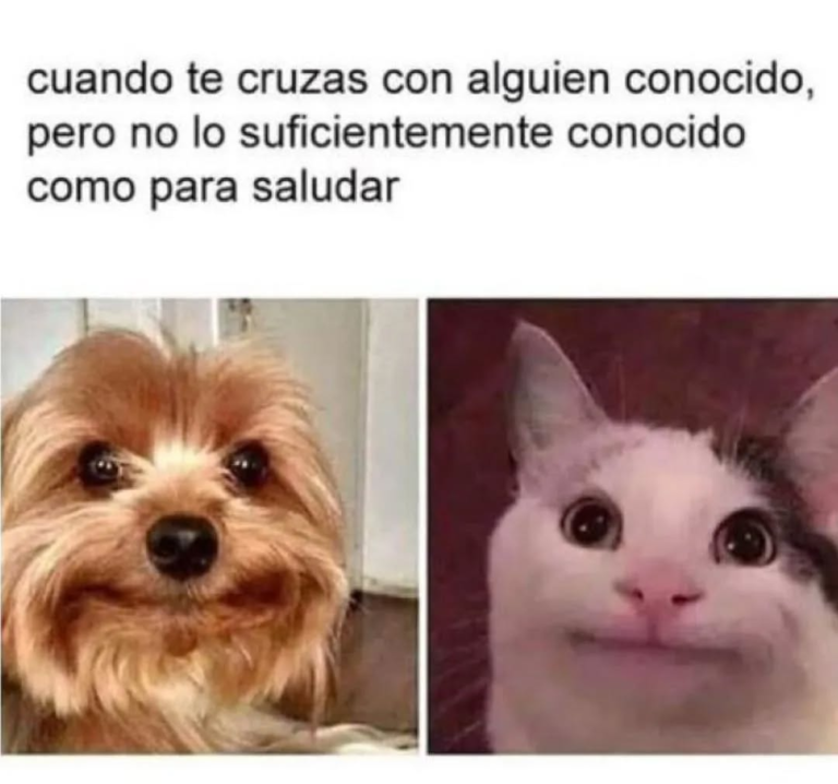 Screenshot_20250120-183144~2