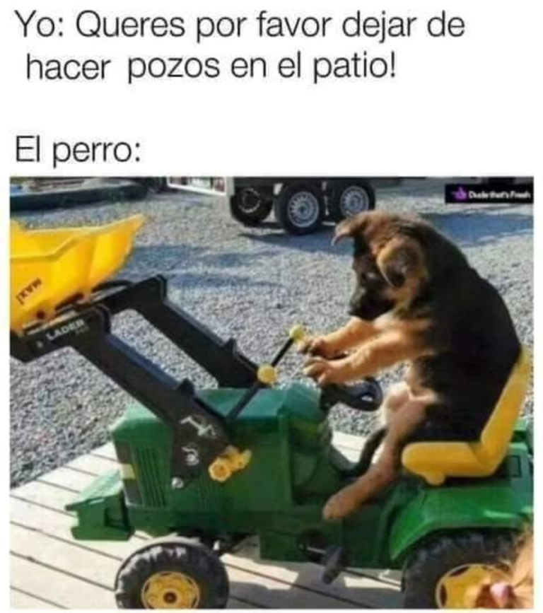 Screenshot_20250120-183213~2