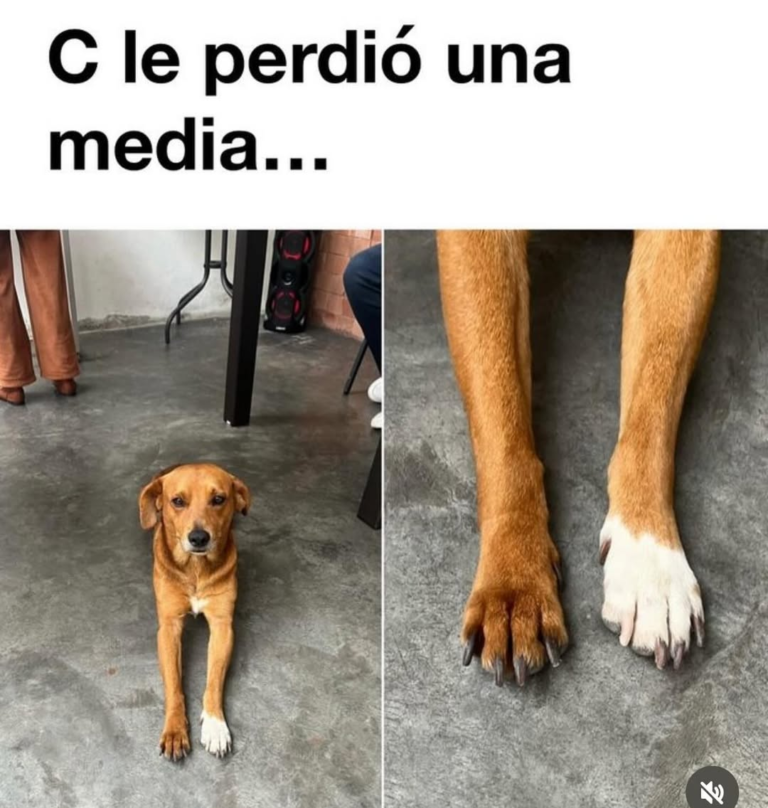 Screenshot_20250120-183300~2